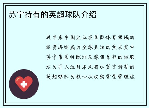 苏宁持有的英超球队介绍